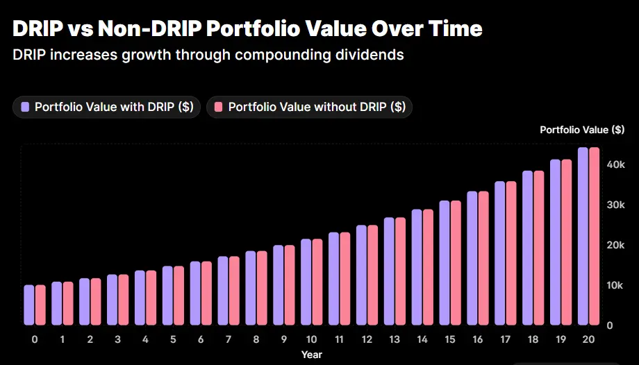 Dividend calculator showing DRIP compound growth chart over 20 years